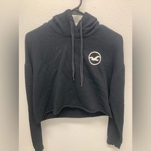 Cropped Hollister Hoodie